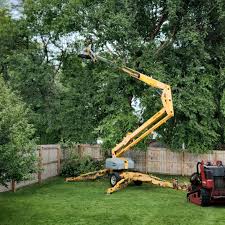 Best Lawn Renovation and Restoration  in Bronxville, NY